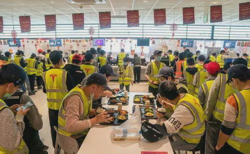 特斯拉的食堂 饭菜免费餐食不限量,老板和清洁工一视同仁
