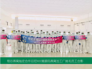 专家教你如何辨别真假燕窝 溯源码燕窝 燕窝原产地直营 燕窝批发代理